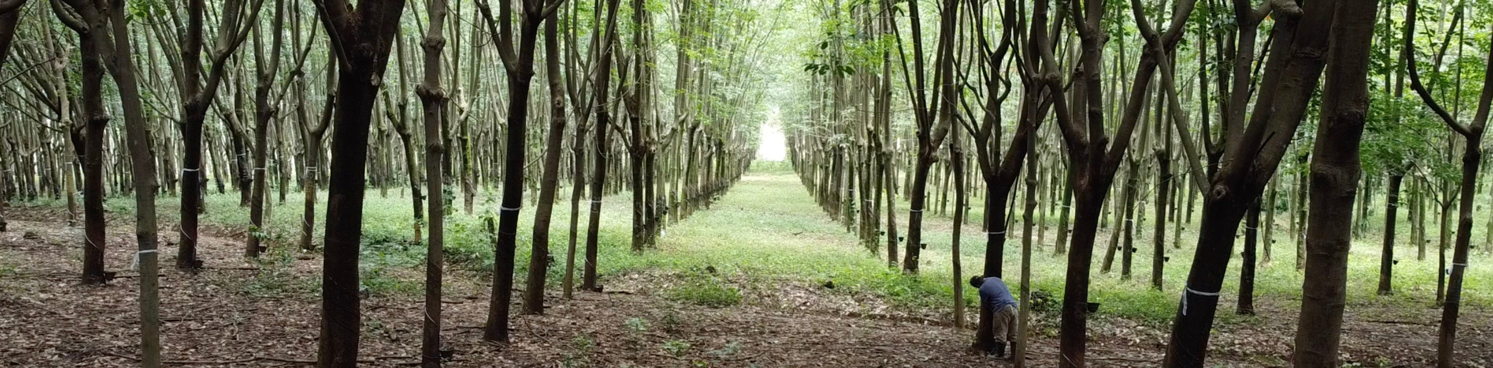 Hacienda Guadalupe - Imagen 4