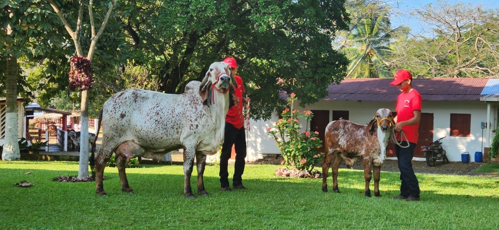 Hacienda Guadalupe - Imagen 3