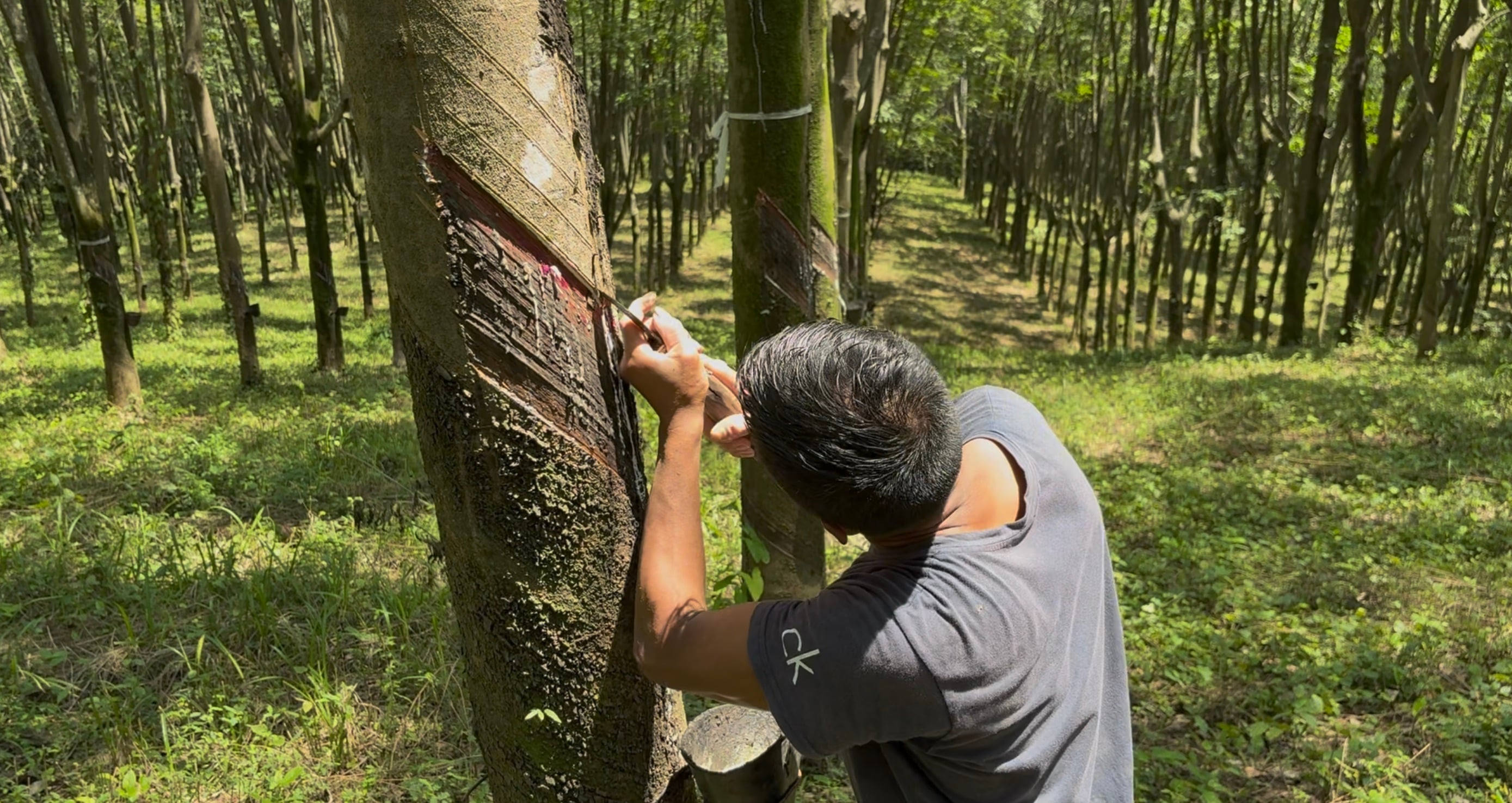 Imagen 1 de Hacienda Guadalupe