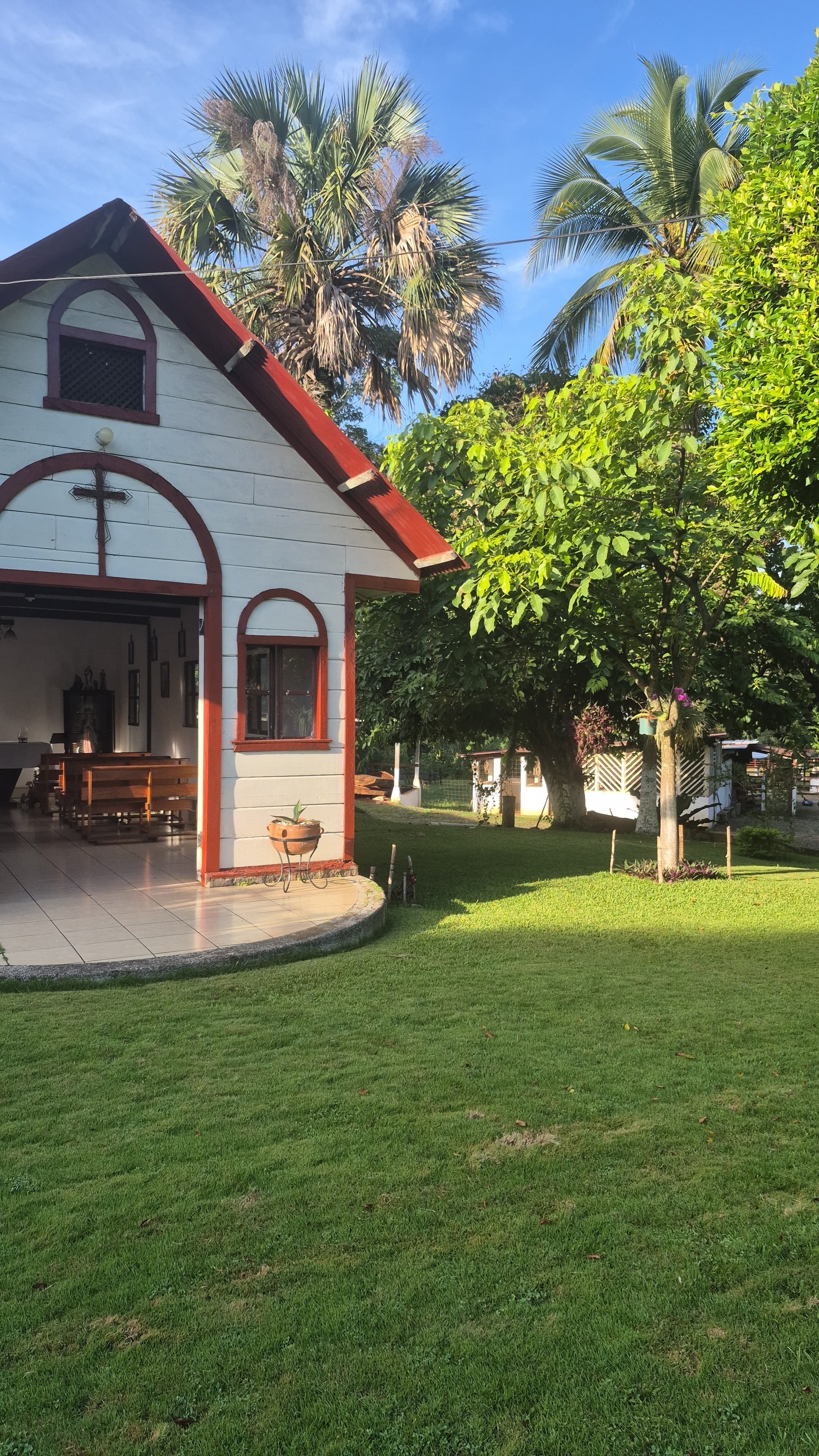 Persona alimentando una ternera